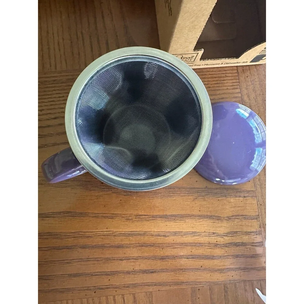 Steaz Infuser Mug w/ lid and stainless steel strainer included